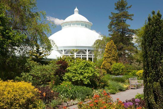 Giardino botanico di New York